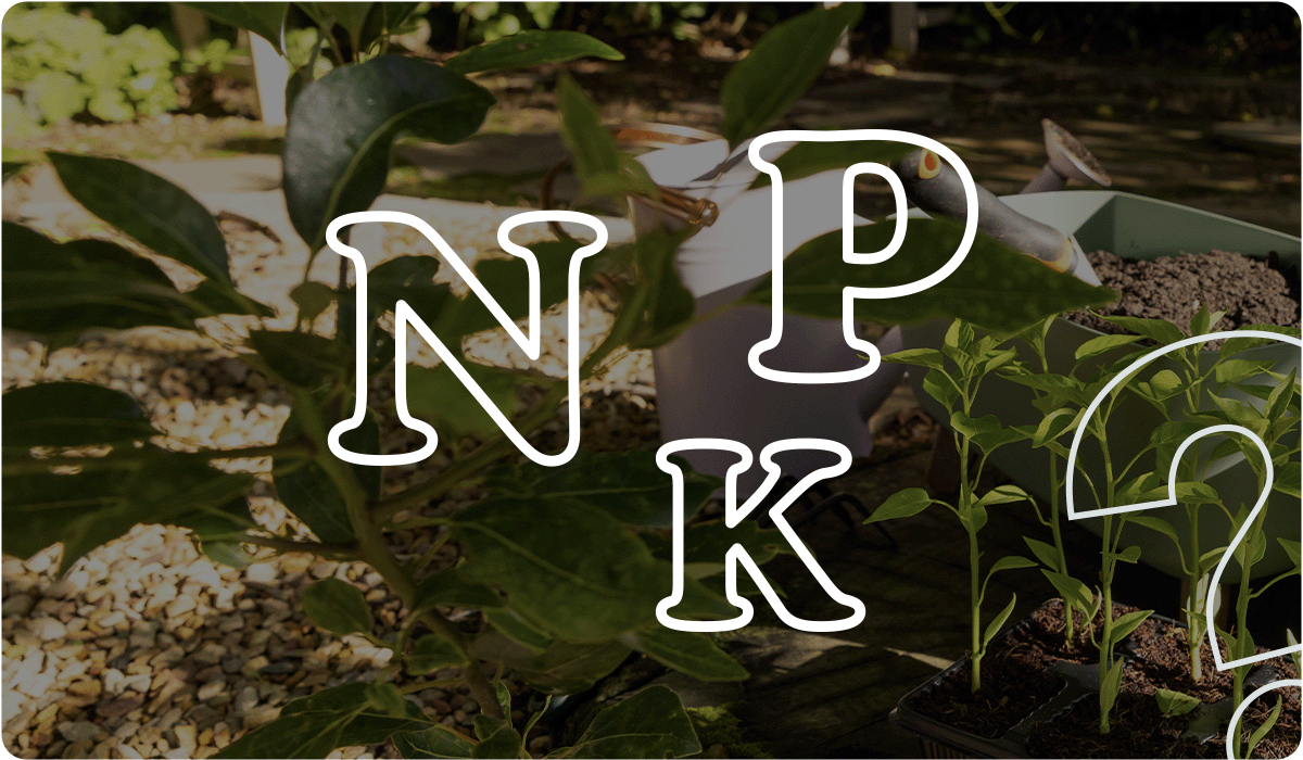 A blurred outdoor garden scene with a watering can and potted plants. Large, white stylized letters 'NPK' and a question mark are overlaid across the center, referring to Nitrogen, Phosphorus, and Potassium fertilizers.